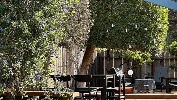 Eine Terrasse mit Gartenmöbeln, ein Holzdeck und ein großer Baum, der Schatten spendet.