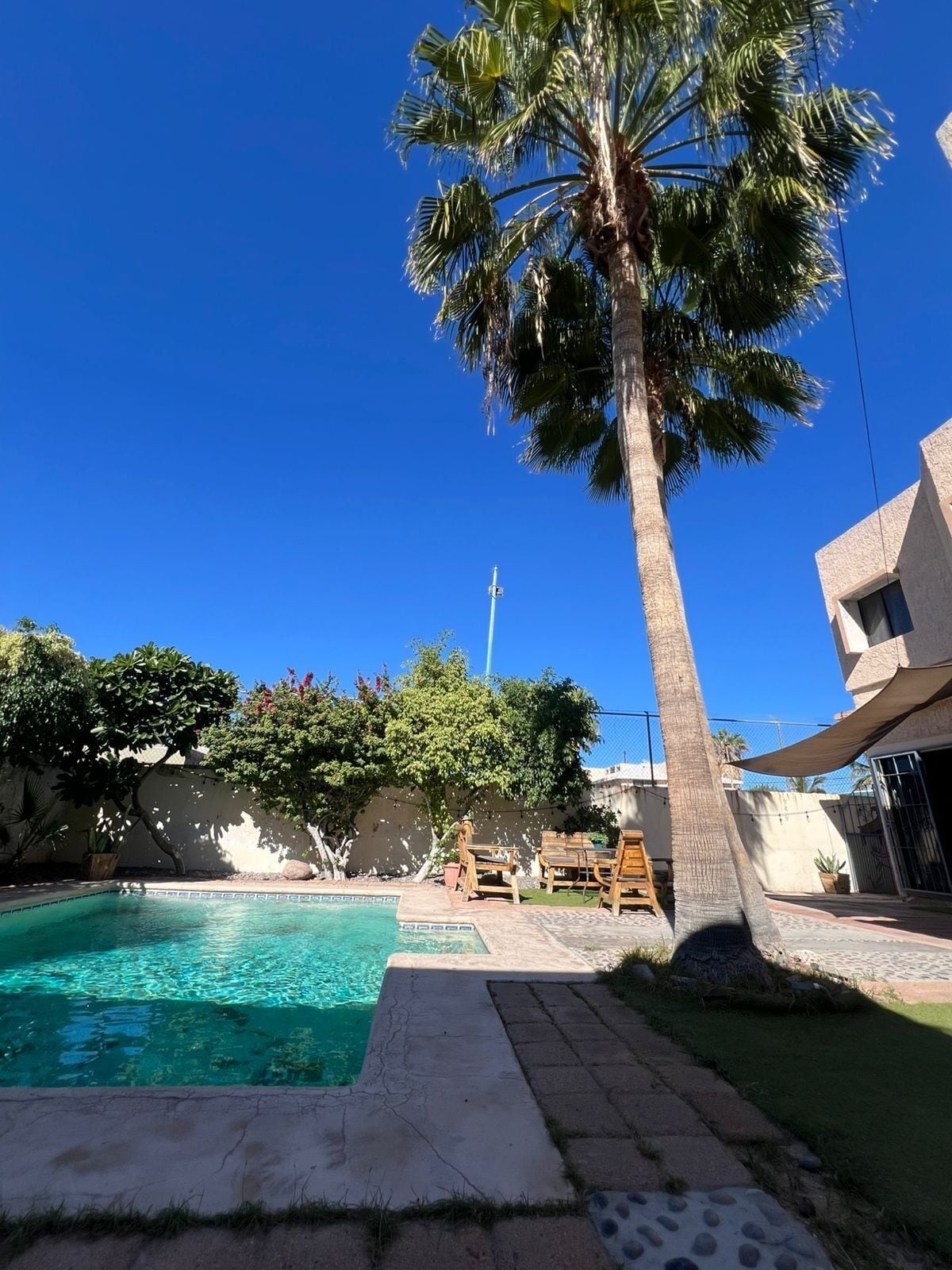 A clear blue sky, a swimming pool, and a tall palm tree.