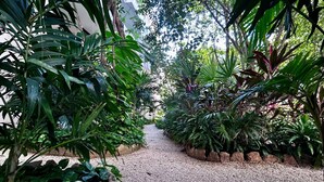 A pathway flanked by lush tropical plants leading to a building. - Modern 2BR Apartment in Tulum Great Location (Tulum)