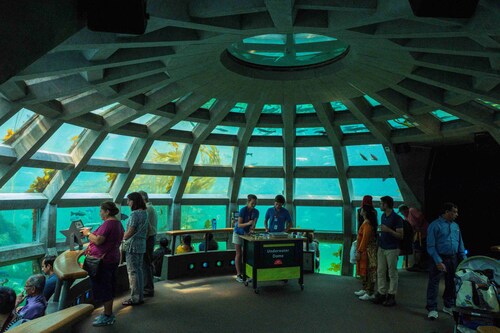 Perfect boat experience cruising the enchanting waters of Seattle