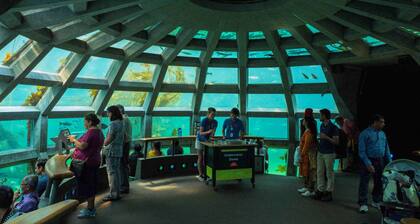 Perfect boat experience cruising the enchanting waters of Seattle