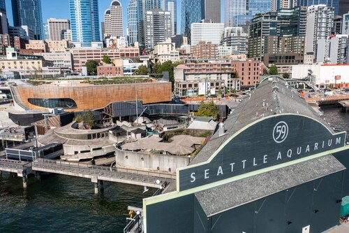 Perfect boat experience cruising the enchanting waters of Seattle