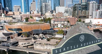 Perfect boat experience cruising the enchanting waters of Seattle