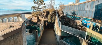 Perfect boat experience cruising the enchanting waters of Seattle
