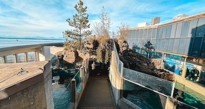 Perfect boat experience cruising the enchanting waters of Seattle