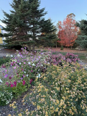 Property grounds - Oceanfront Retreat on the Bay of Fundy – Stunning Views & Serene Privacy (Berwick)