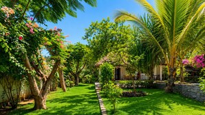 Un jardín exuberante con diversos árboles, un sendero de piedra y un edificio de techo de paja.