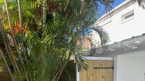 Una verja de madera, una planta en maceta y un patio con suelo de piedra.