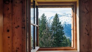 Ein Fenster mit Blick auf schneebedeckte Berge und immergrüne Bäume.