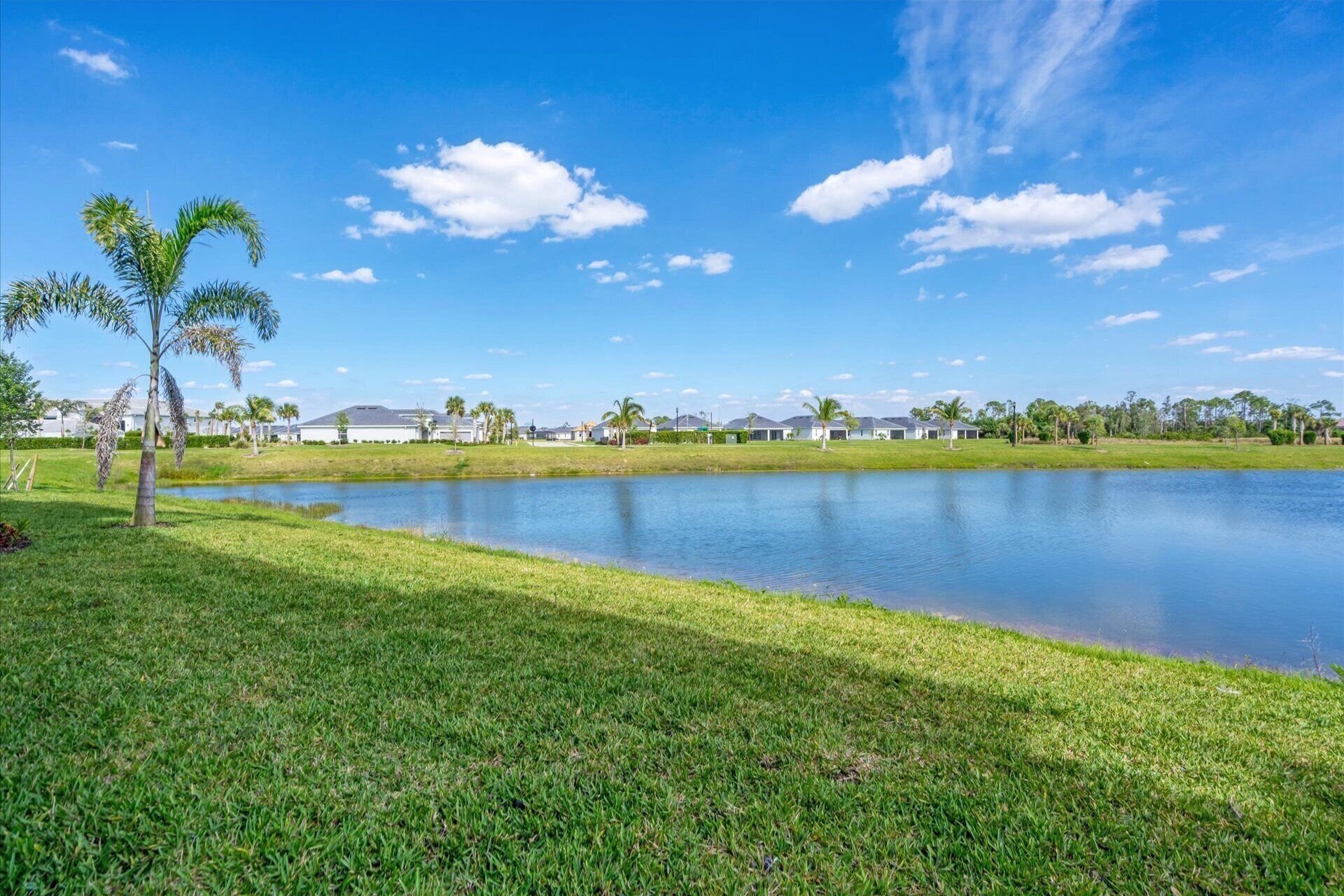 A residential area with a pond, houses, and palm trees.