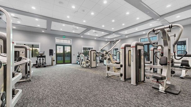 Ein modernes Fitnessstudio mit verschiedenen Trainingsgeräten, Teppichboden und einem großen Fenster, das für natürliches Licht sorgt.