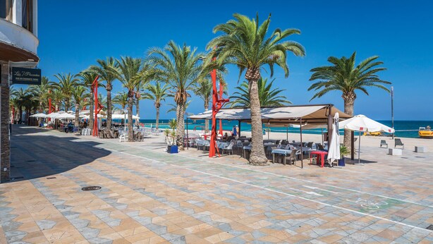 Um terraço à beira-mar com palmeiras, mesas e cadeiras ao ar livre e um bar-restaurante.