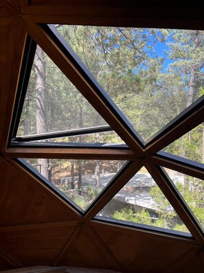 Unclassified image, 2 of 10, button