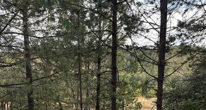 Aurea Glamping | Luxury Geodesic Dome