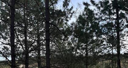 Aurea Glamping | Luxury Geodesic Dome