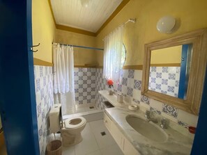 Regadera, secadora de cabello, papel de baño