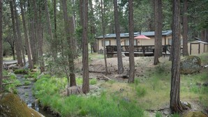 Une cabane entourée de grands arbres, un petit ruisseau et une terrasse.