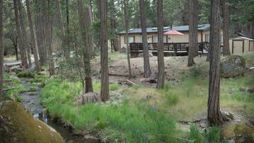 Chalet (3 Bedrooms) | Interior