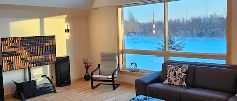 Smart TV, fireplace, video games, books