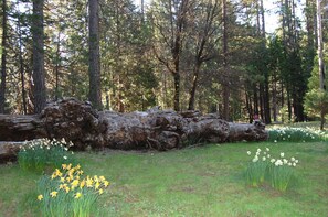 Faház (2 Bedrooms) | Belső rész