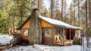 Una baita con un camino in pietra, rivestimento in legno e un portico con zona salotto coperta.