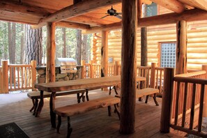 Interior - Grizzly Giant (Yosemite National Park)