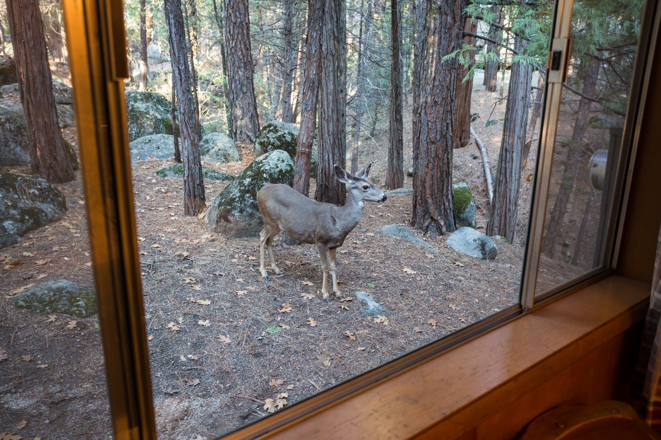 Chalet (2 Bedrooms) | Interior