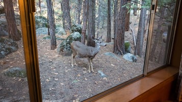 Chalet (2 Bedrooms) | Interior