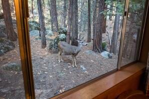 Chalé (2 Bedrooms) | Parte interna