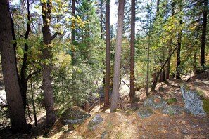 Interior - Edmond's Place (Yosemite National Park)
