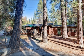Interior - Ashbaugh Meadow (Yosemite National Park)