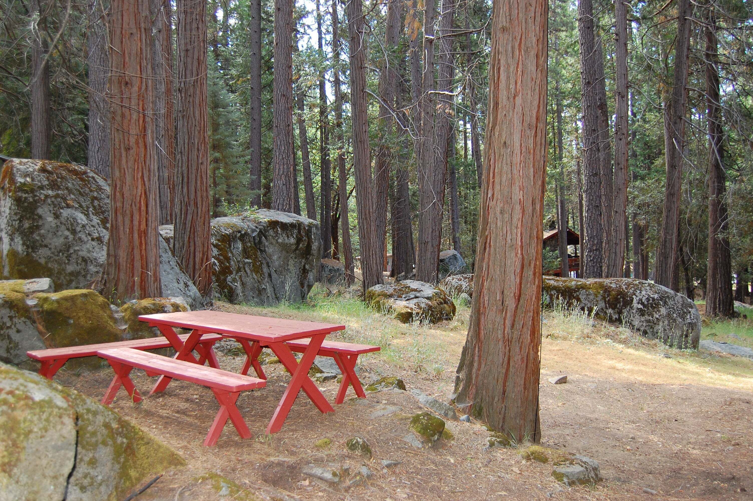 Un bosque con una mesa de picnic roja y rocas.