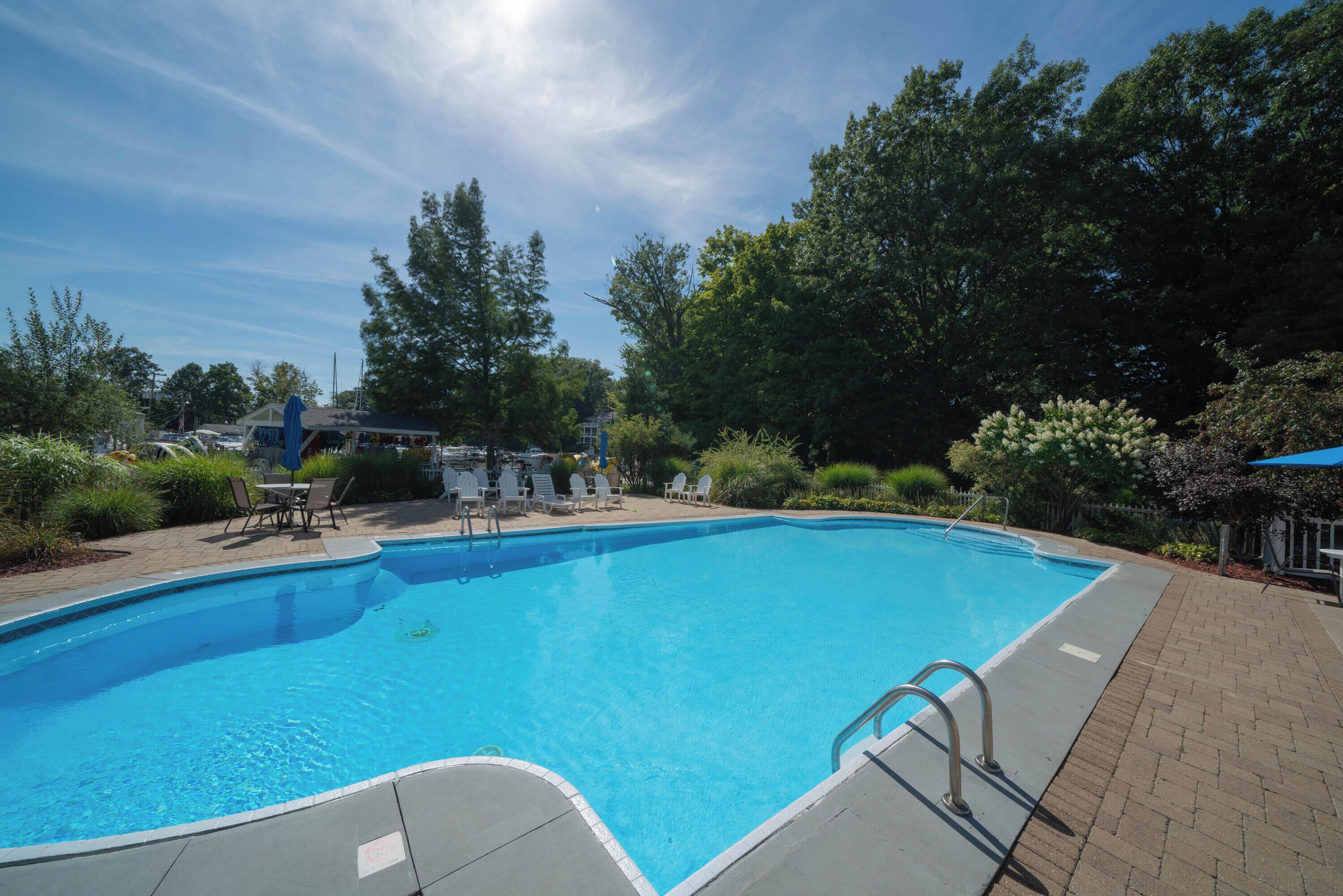 En rektangulær swimmingpool med klart, blåt vand, omgivet af en belagt terrasse og et varieret udvalg af planter og træer.