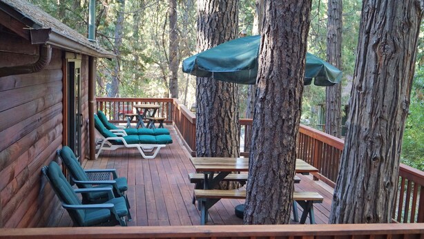Une terrasse en bois, dotée de chaises longues et de tables de pique-nique, entourée de grands arbres.