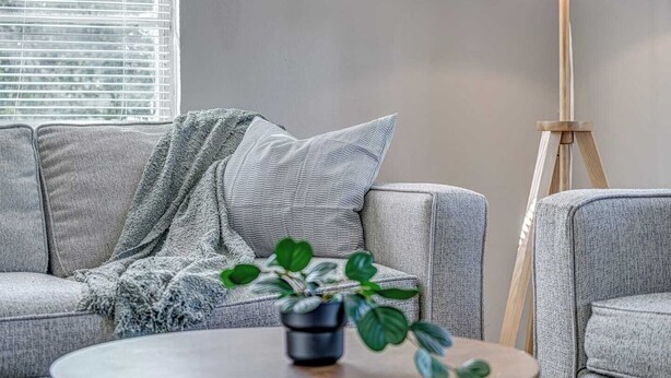 Un salón con un sofá gris, una lámpara de pie y una planta en maceta sobre una mesa de centro.