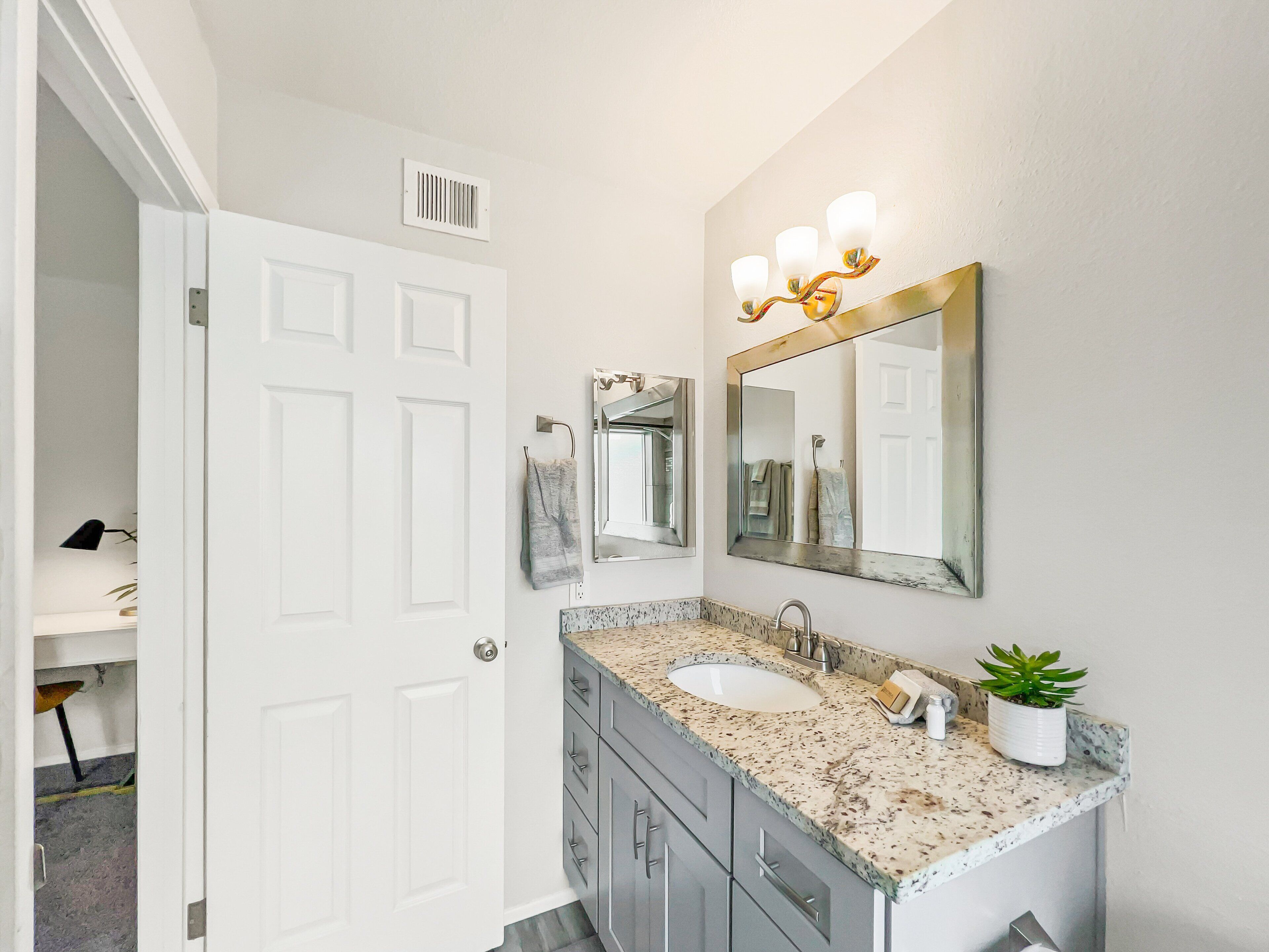 A bathroom with a white door, a sink with a granite countertop, a mirror with a gold frame, and a potted plant on the countertop.