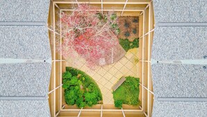 A square garden with a wooden frame, green shrubs, and a tree with pink blossoms. - Classic City Getaway at Stadium Village (Athens)