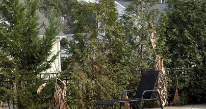 Cozy 1-bedroom apartment in adorable garden city beach