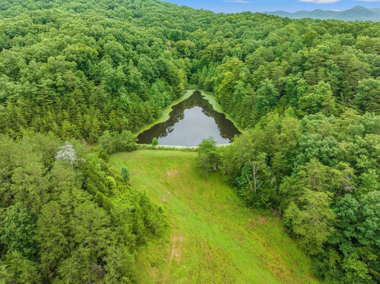 Vista aérea de una zona boscosa con un lago pequeño rodeado de árboles densos.