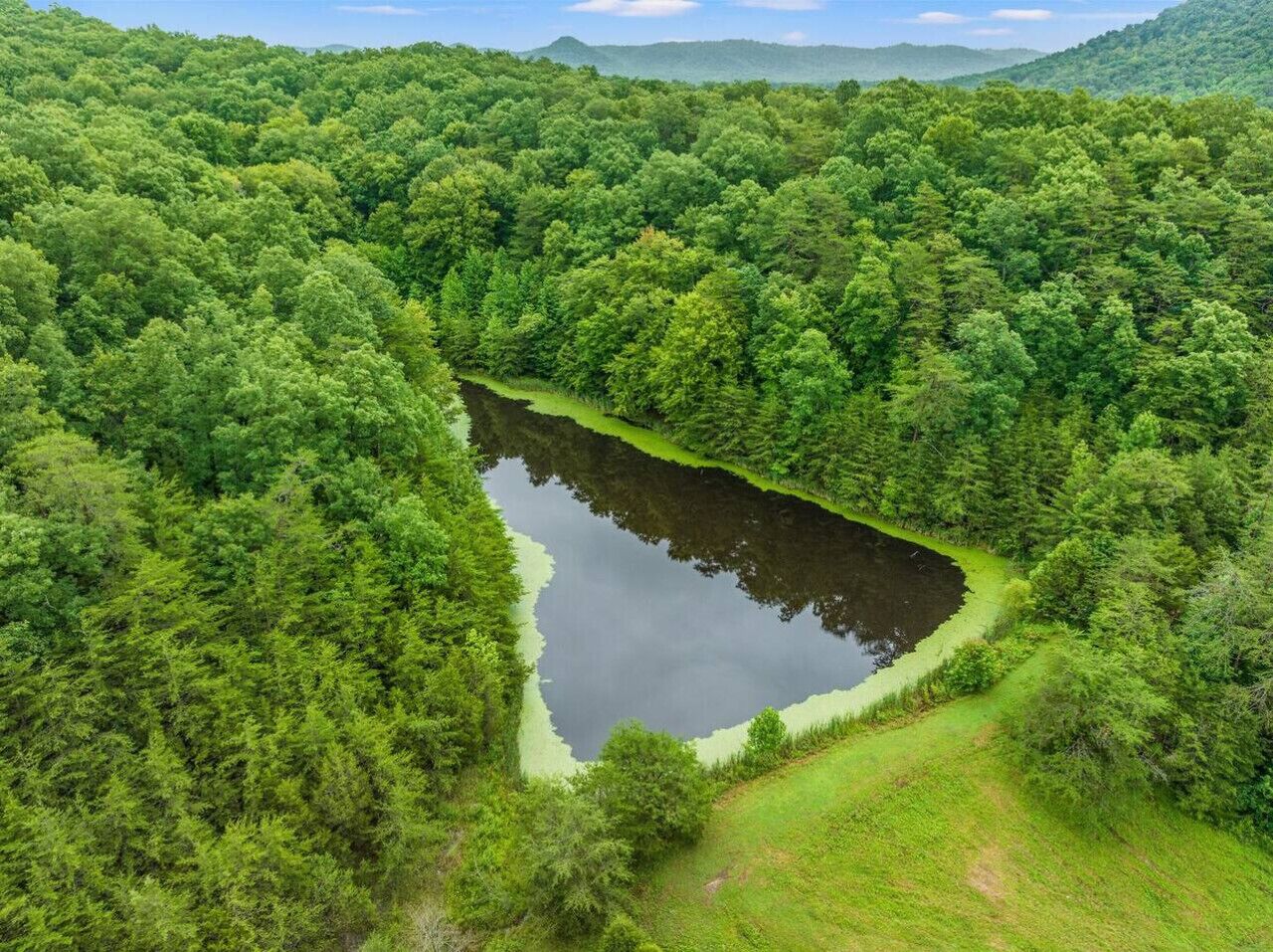 Un paysage naturel avec un lac entouré d’une forêt dense.