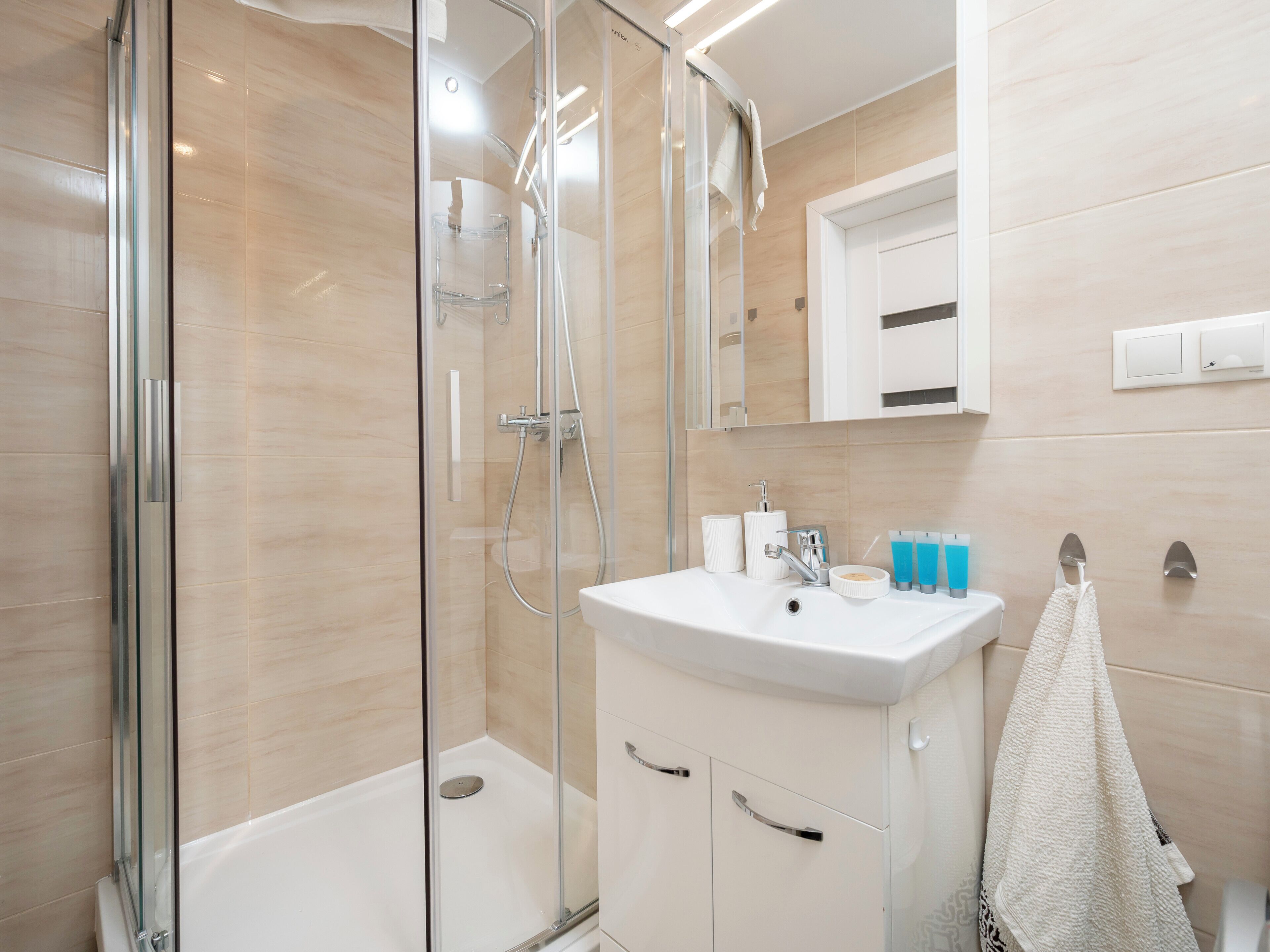 Shower, hair dryer, towels