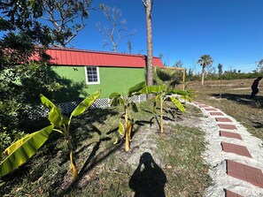 Property grounds - Glamping Cabin with a shared pool in the middle of best that nature has to offer (Saint James City)