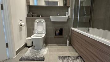 Shower, hair dryer, towels