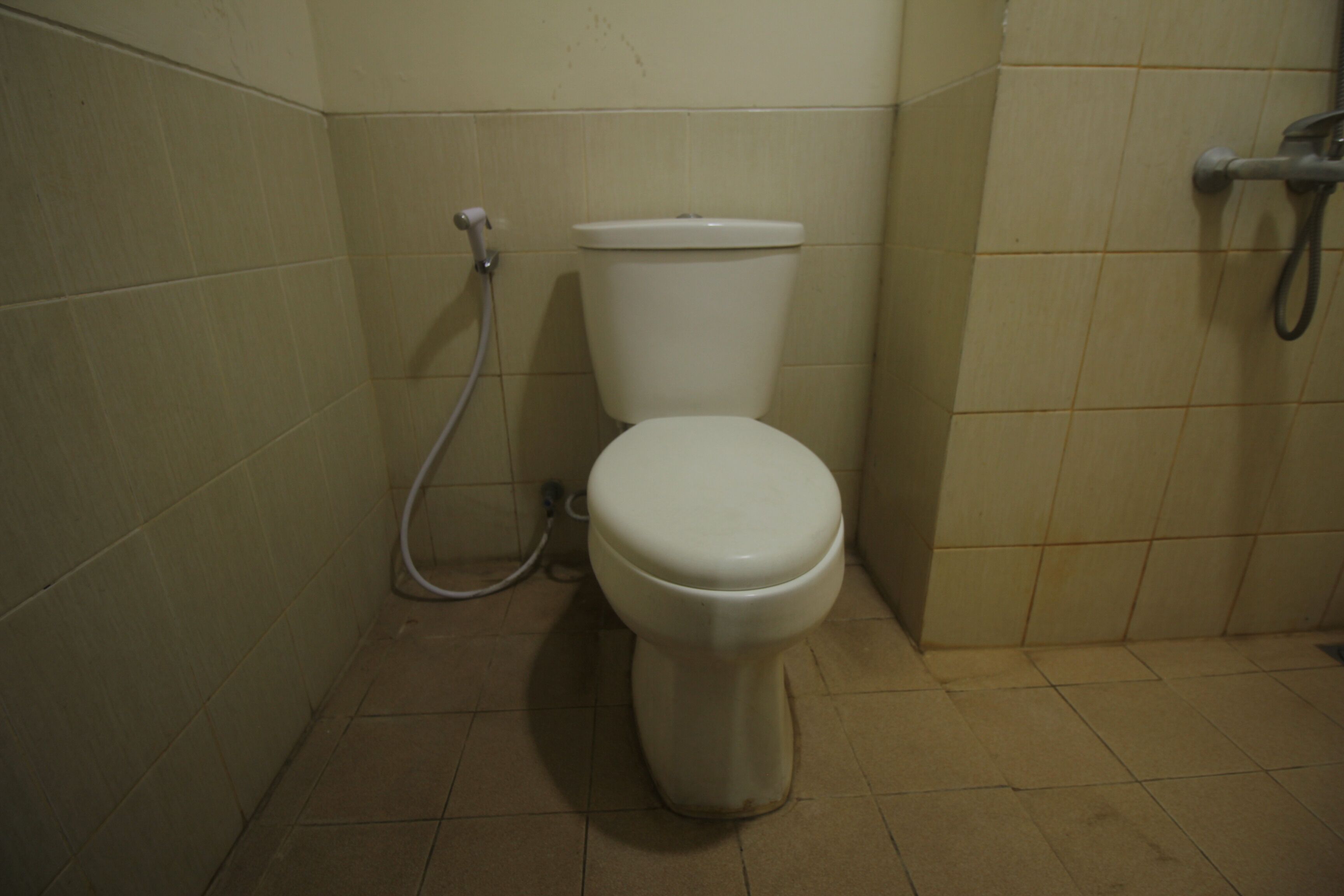 A standard bathroom with a toilet, a shower, and a handrail.