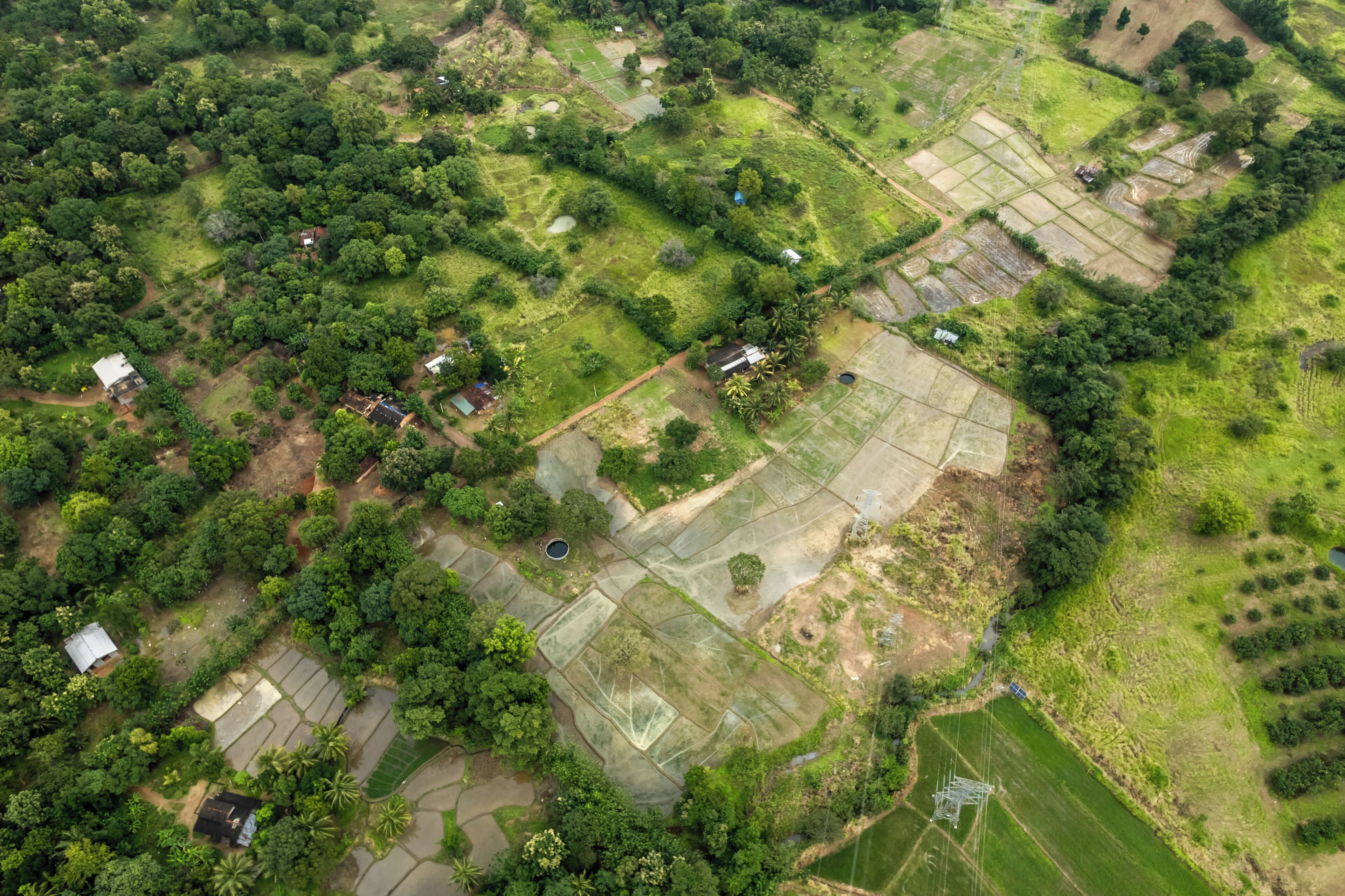 An aerial view of a rural area with fields, small houses, and scattered trees.