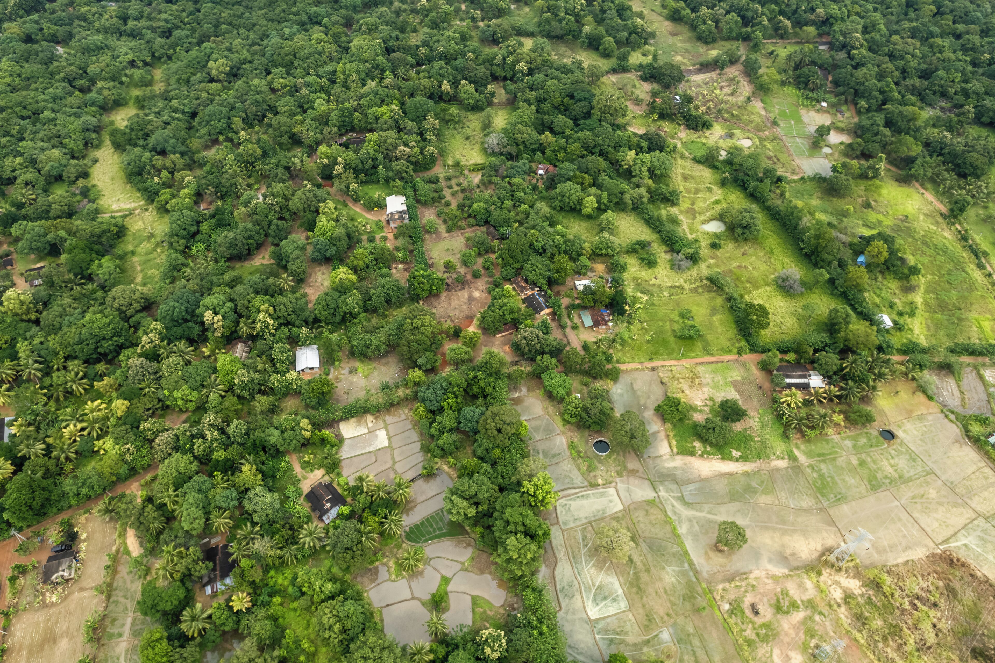 An aerial view of a rural area with scattered houses, dense vegetation, and agricultural fields.