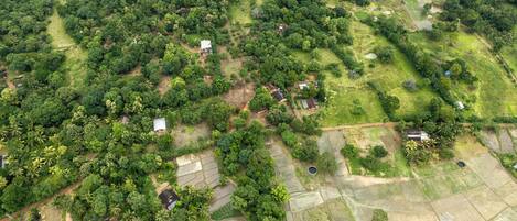 An aerial view of a rural area with scattered houses, dense vegetation, and agricultural fields.
