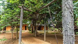 A courtyard with trees, a stone pathway, and a building with an orange facade. - Elephant Path by Alpine Resorts (Habarana)