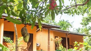 A house with a porch, a hanging fruit, and a chair. - Elephant Path by Alpine Resorts (Habarana)