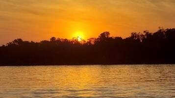 Casa, sacada, vista para o jardim | Diversos